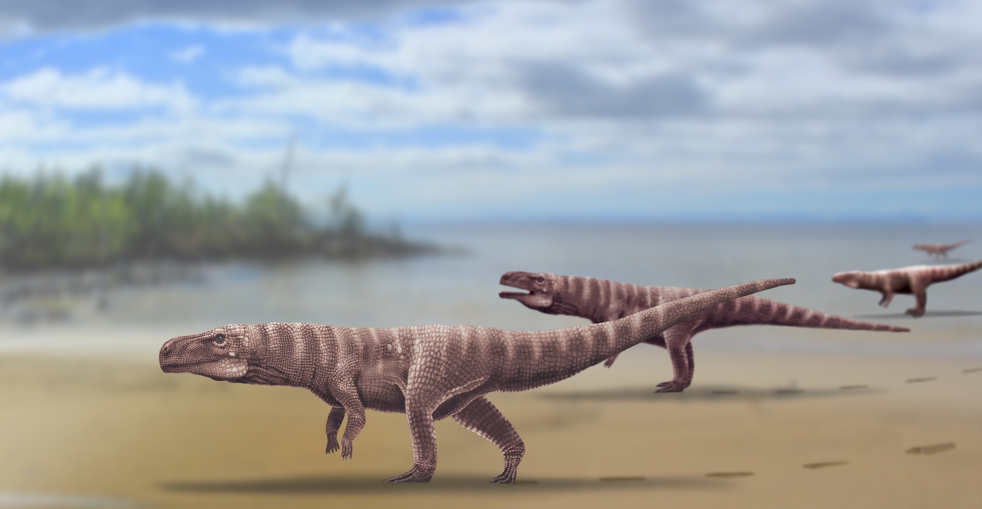120 миллионов лет назад крокодилы ходили на двух ногах
